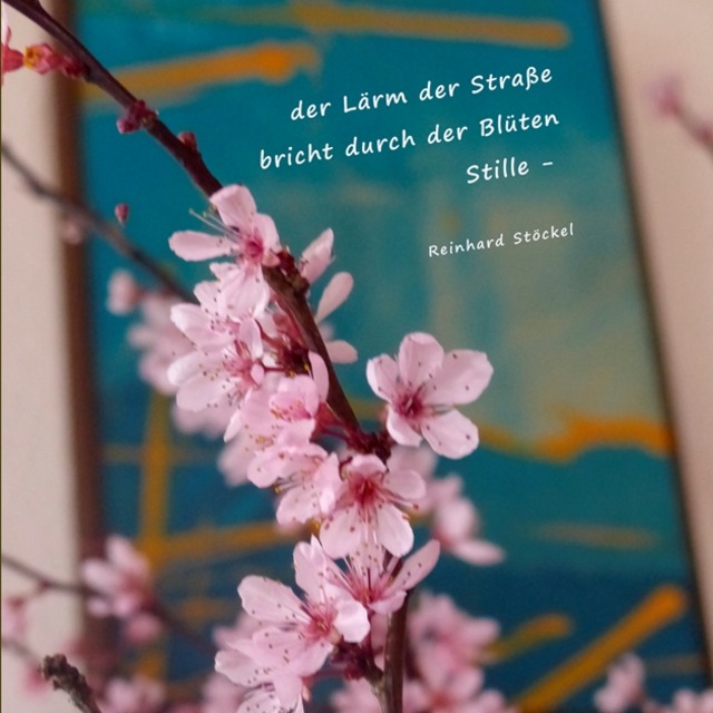 Reinhard Stöckel: Blüten, Stille
