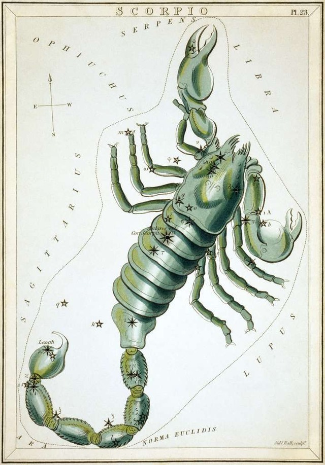 Skorpion aus Uranias Spiegel von Joschafat Aspin